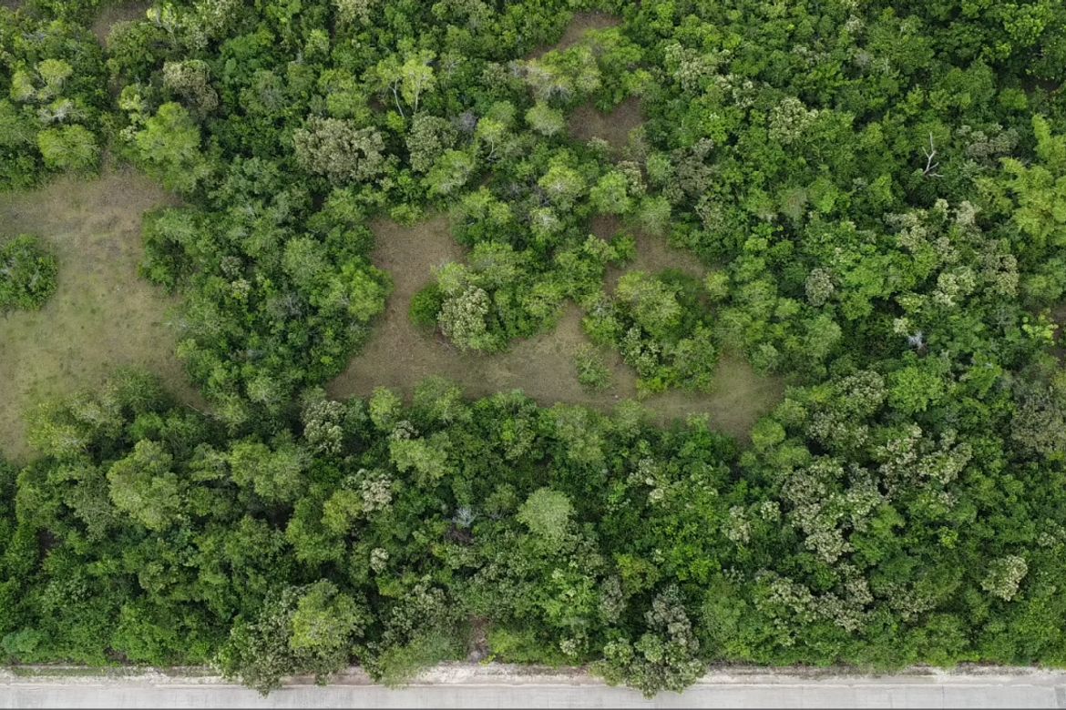 Land for Sale in Dao, Dauis, Bohol