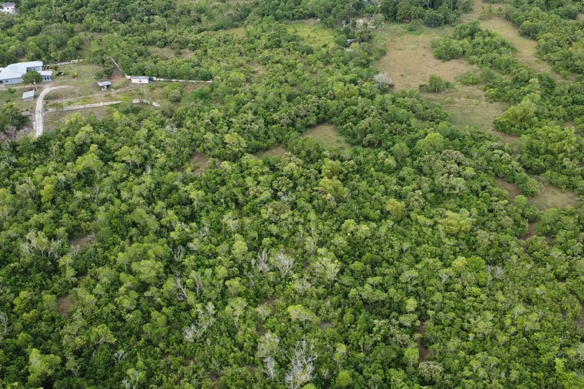 Land for Sale in Dao, Dauis, Bohol – photo 3