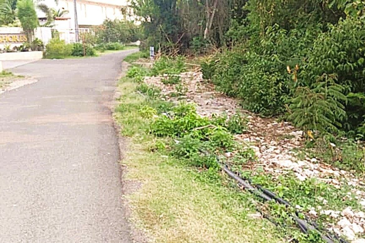 Land for Sale in Dao, Dauis, Bohol