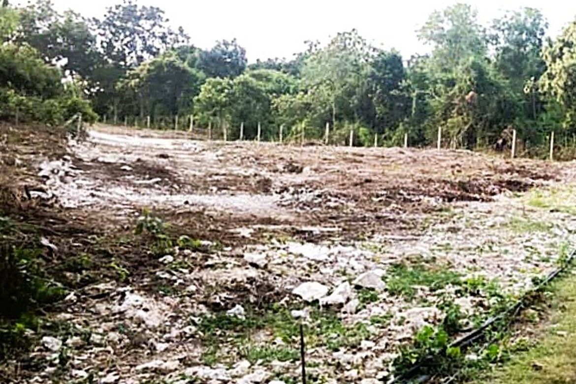 Land for Sale in Dao, Dauis, Bohol – photo 3