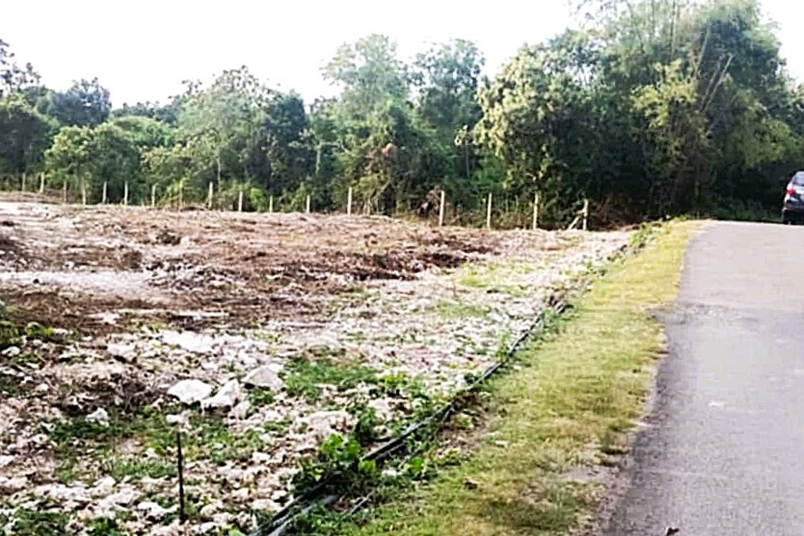 Land for Sale in Dao, Dauis, Bohol – photo 4