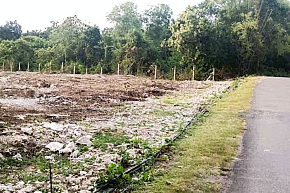 Land for Sale in Dao, Dauis, Bohol – photo 5
