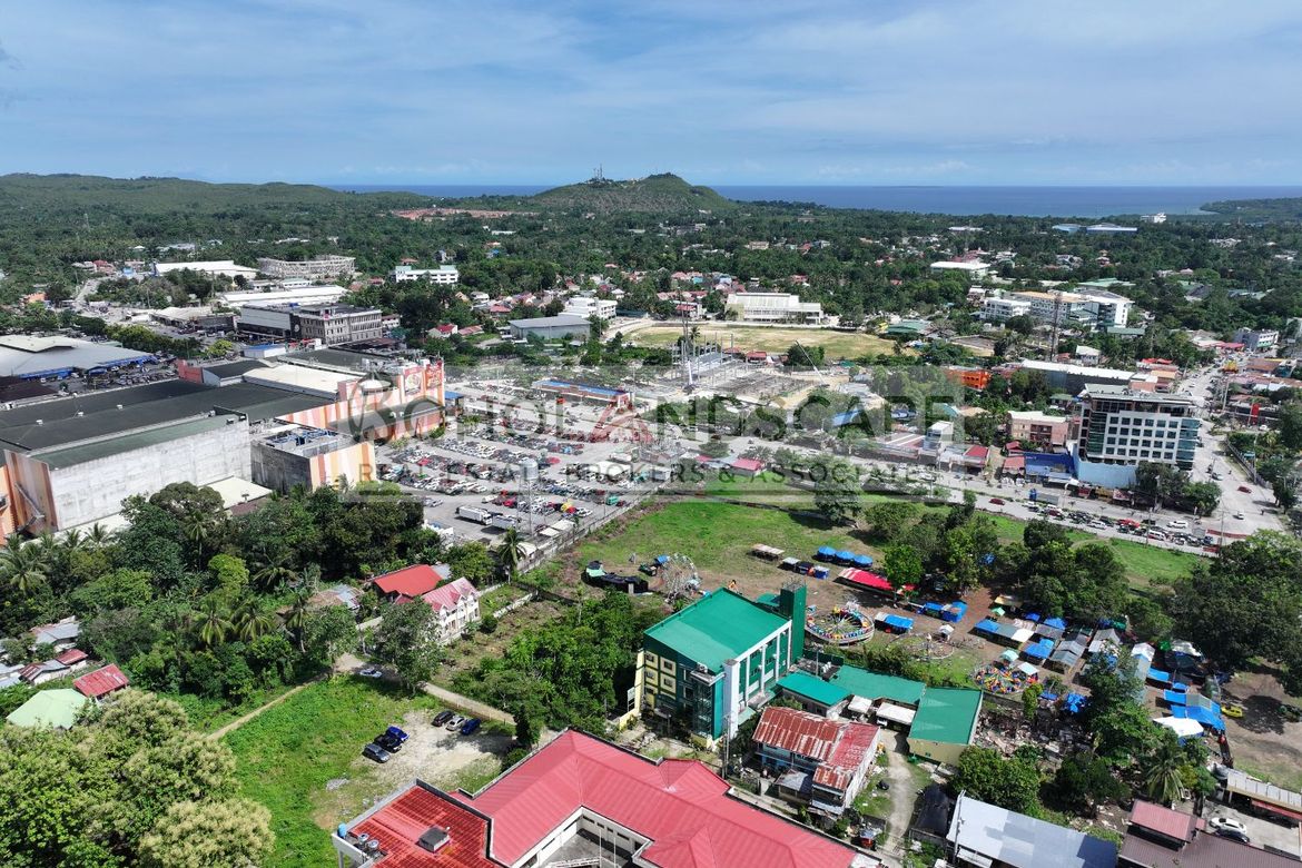 Land for Sale in Dao, Tagbilaran, Bohol – photo 4