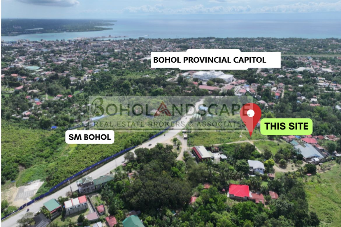 Land for Sale in Dao, Tagbilaran, Bohol – photo 6