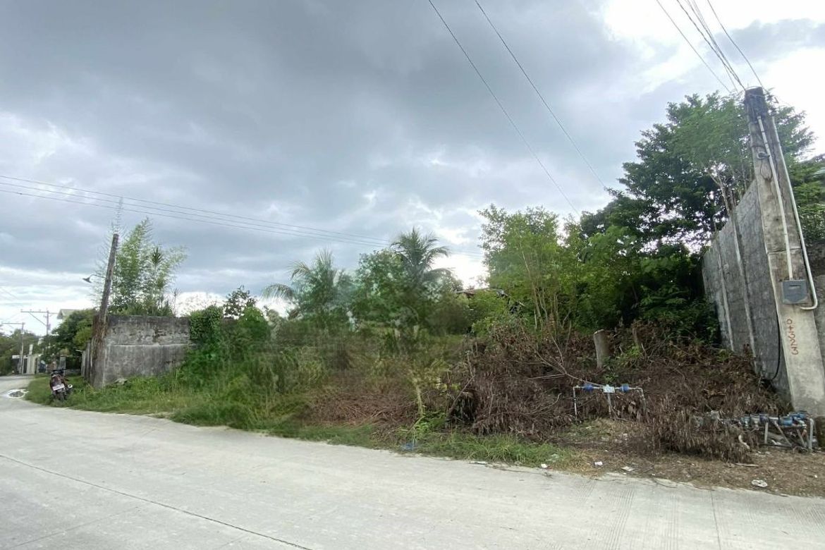 Land for Sale in Dao, Tagbilaran, Bohol – photo 3