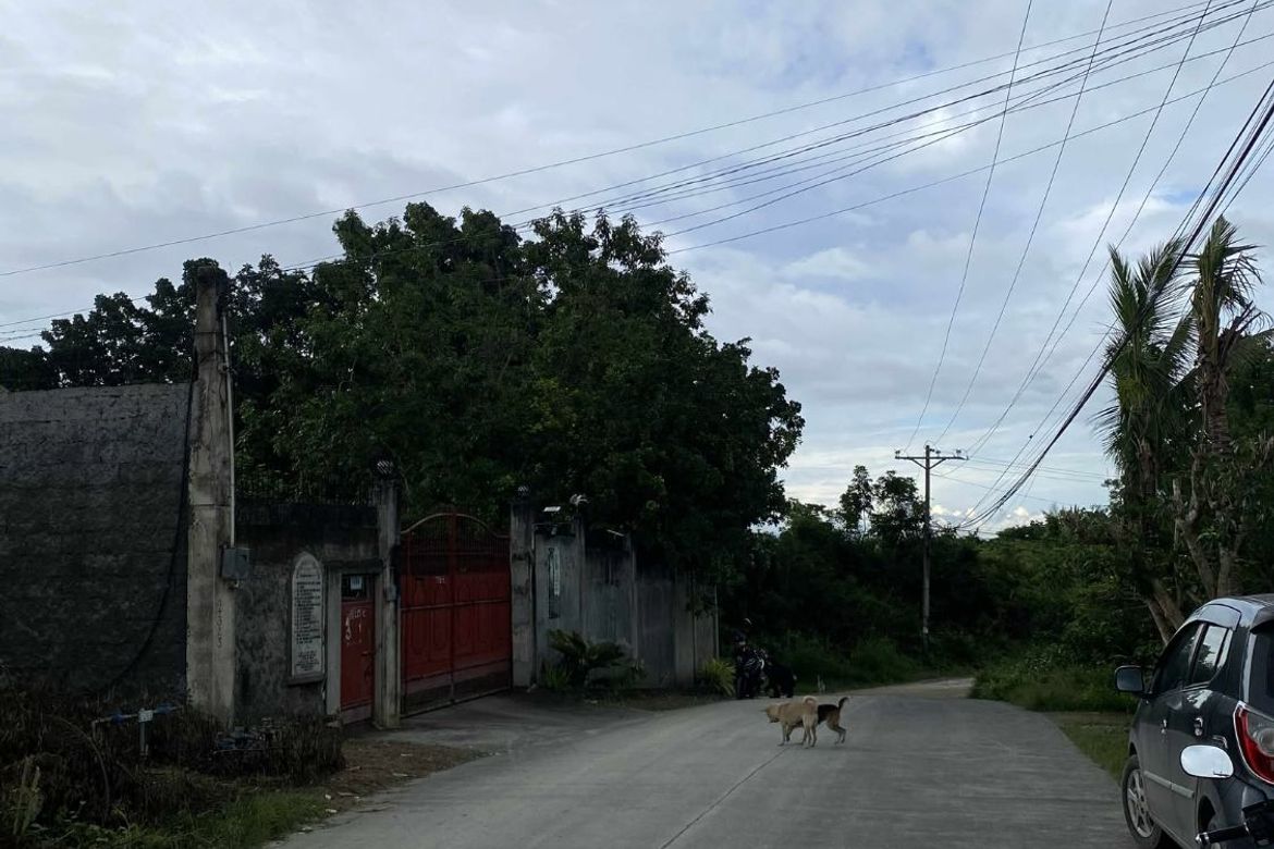 Land for Sale in Dao, Tagbilaran, Bohol – photo 4
