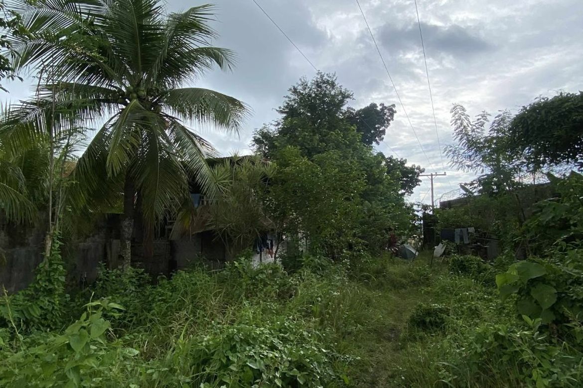 Land for Sale in Dao, Tagbilaran, Bohol – photo 6