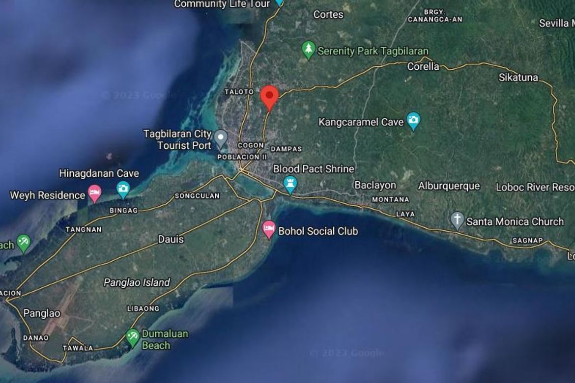 Land for Sale in Dao, Tagbilaran, Bohol – photo 3
