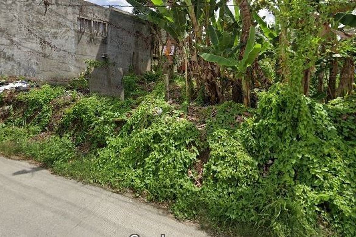 Land for Sale in Dao, Tagbilaran, Bohol – photo 2