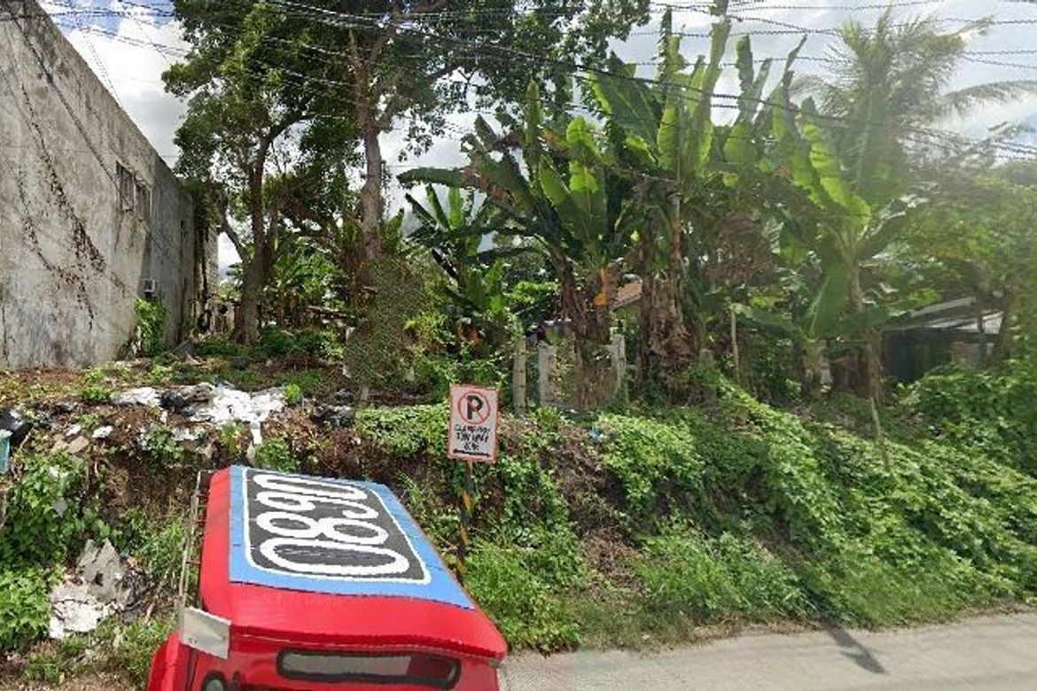 Land for Sale in Dao, Tagbilaran, Bohol – photo 3