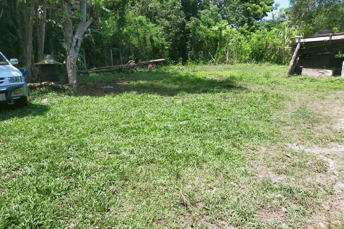 Land for Sale in Dao, Tagbilaran, Bohol – photo 7