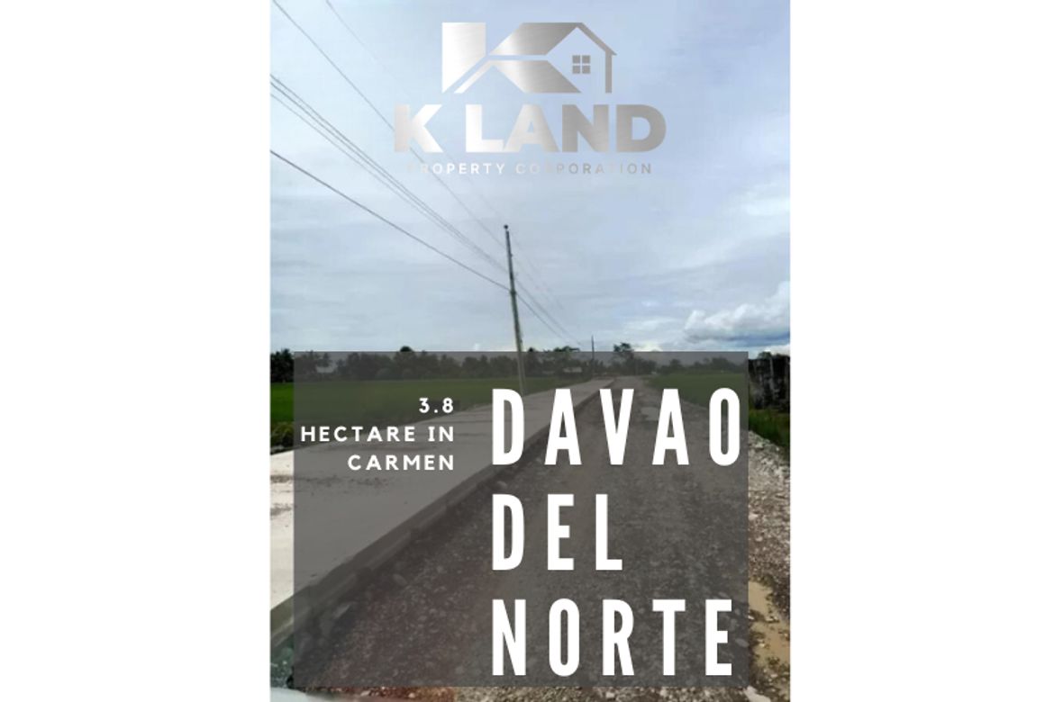 Land for Sale in Dapco, Panabo, Davao del Norte