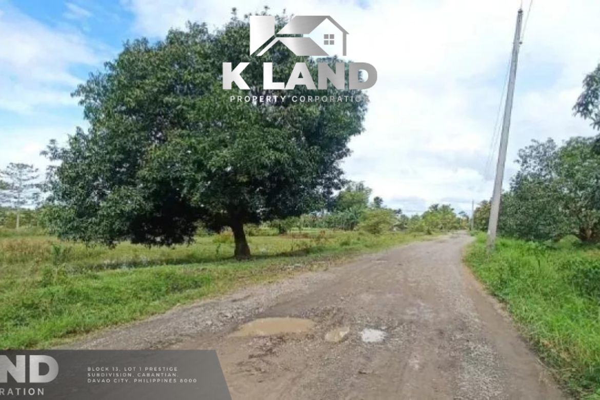 Land for Sale in Dapco, Panabo, Davao del Norte – photo 2