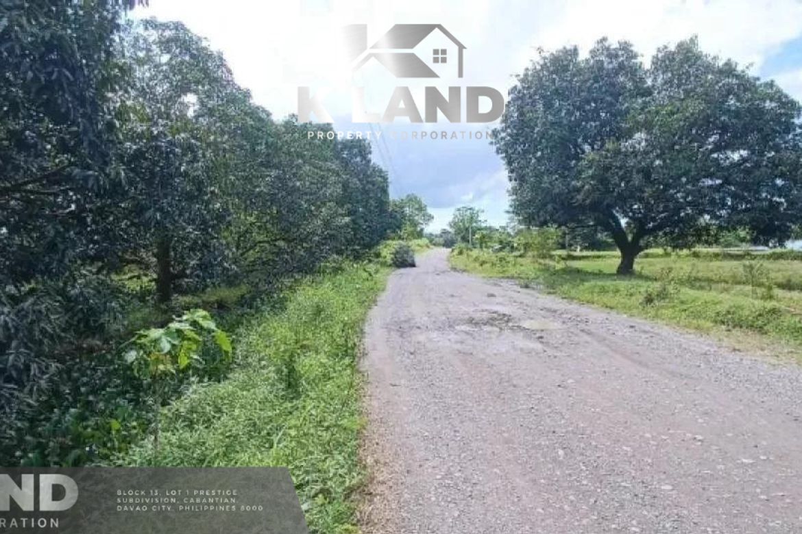 Land for Sale in Dapco, Panabo, Davao del Norte – photo 4