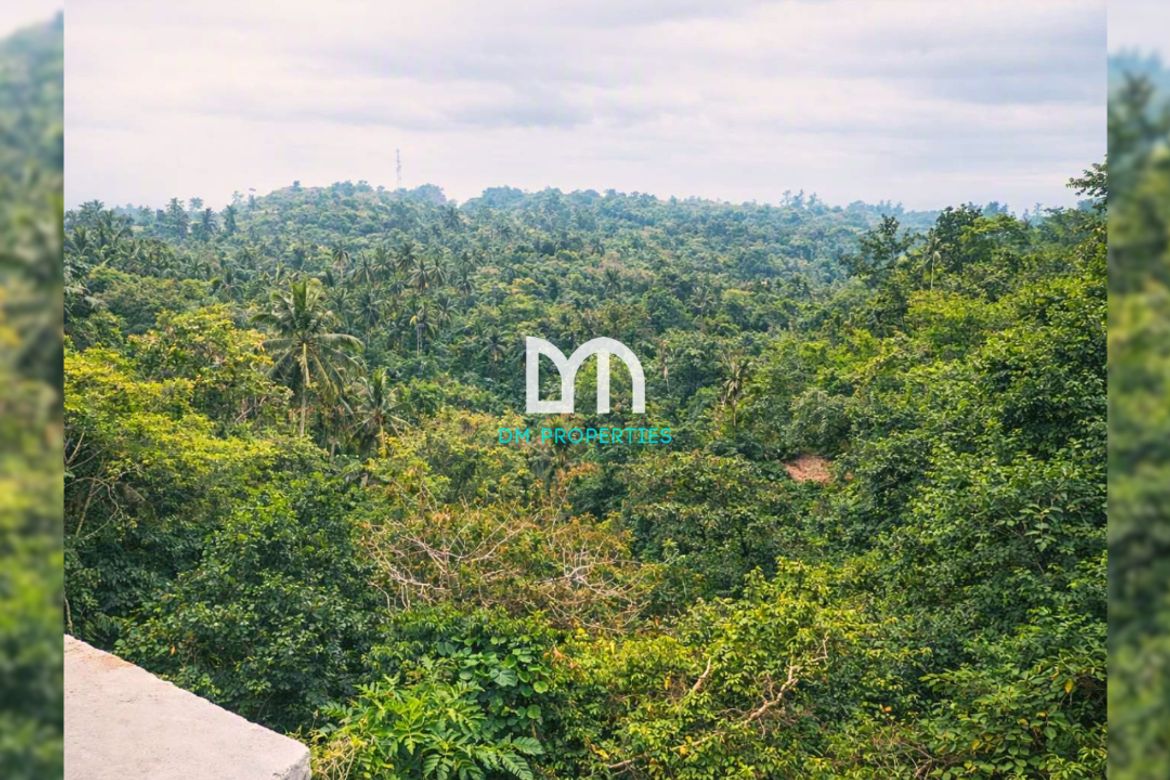Land for Sale in Dapdap East, Tagaytay, Cavite – photo 2