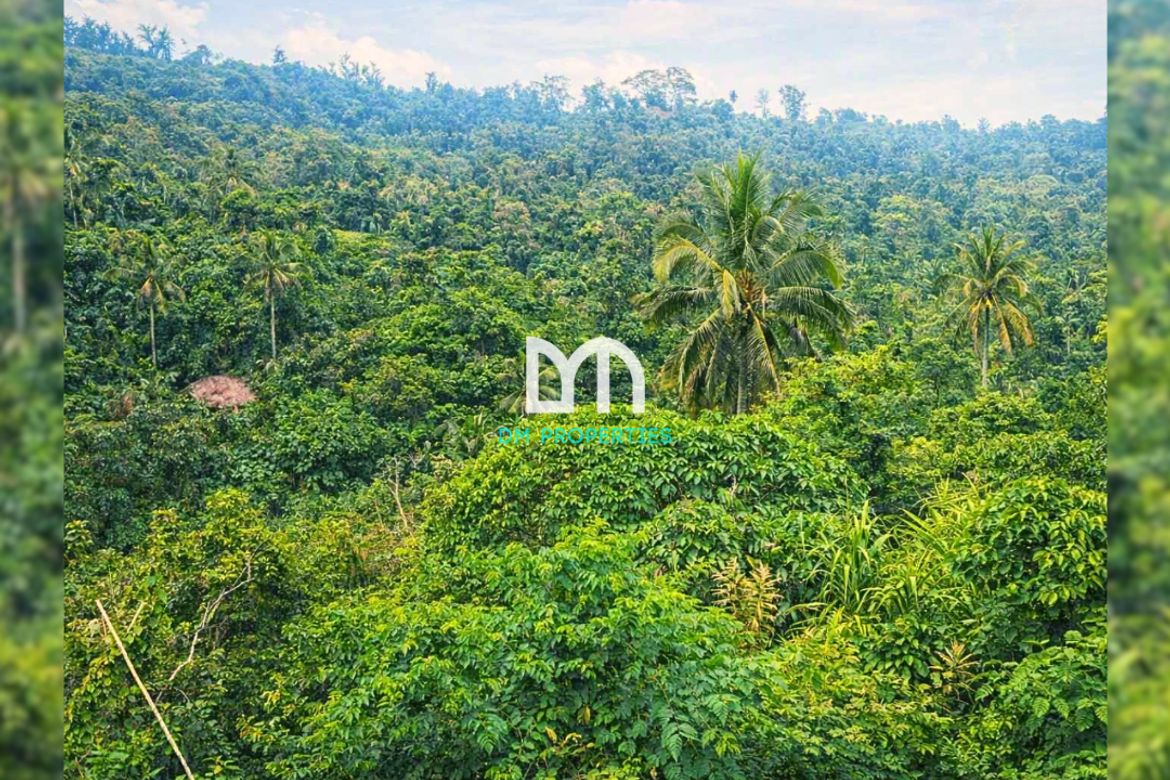 Land for Sale in Dapdap East, Tagaytay, Cavite – photo 3
