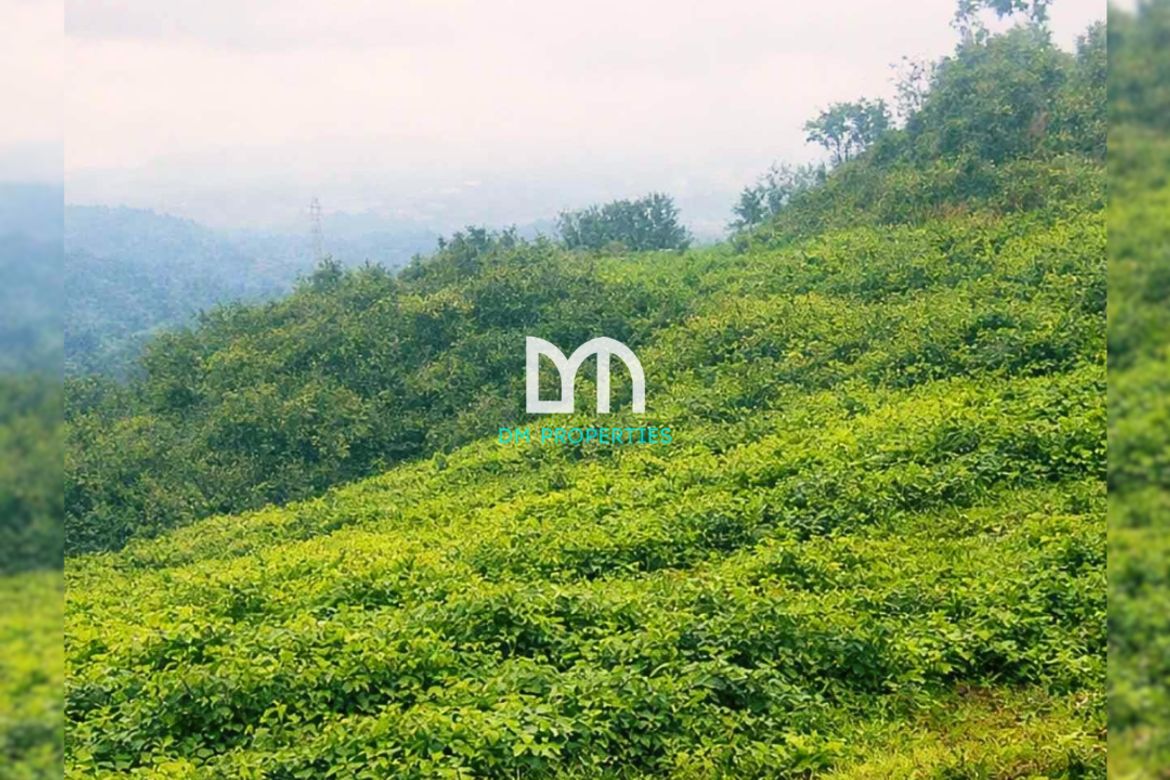 Land for Sale in Dapdap East, Tagaytay, Cavite – photo 4