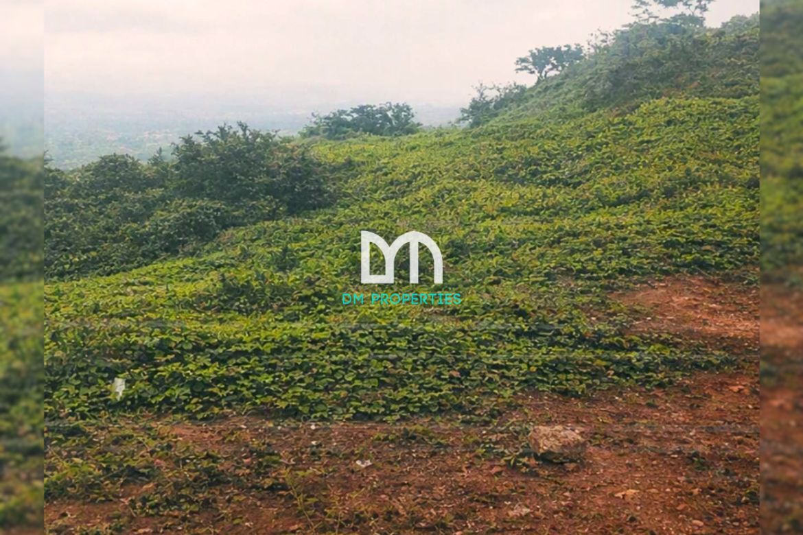 Land for Sale in Dapdap East, Tagaytay, Cavite – photo 5