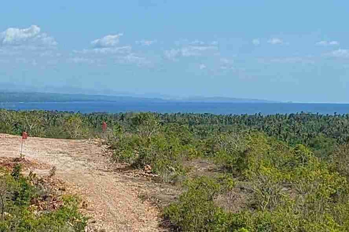 Land for Sale in Dapdap, San Remigio, Cebu
