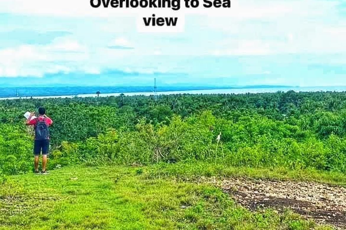 Land for Sale in Dapdap, San Remigio, Cebu – photo 3