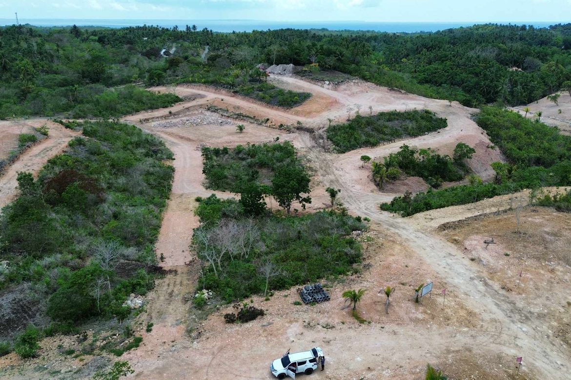 Land for Sale in Dapdap, San Remigio, Cebu – photo 4