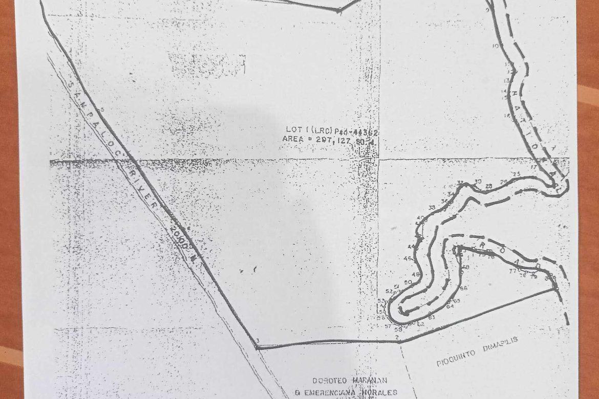 Land for Sale in Dapdap West, Tagaytay, Cavite – photo 2
