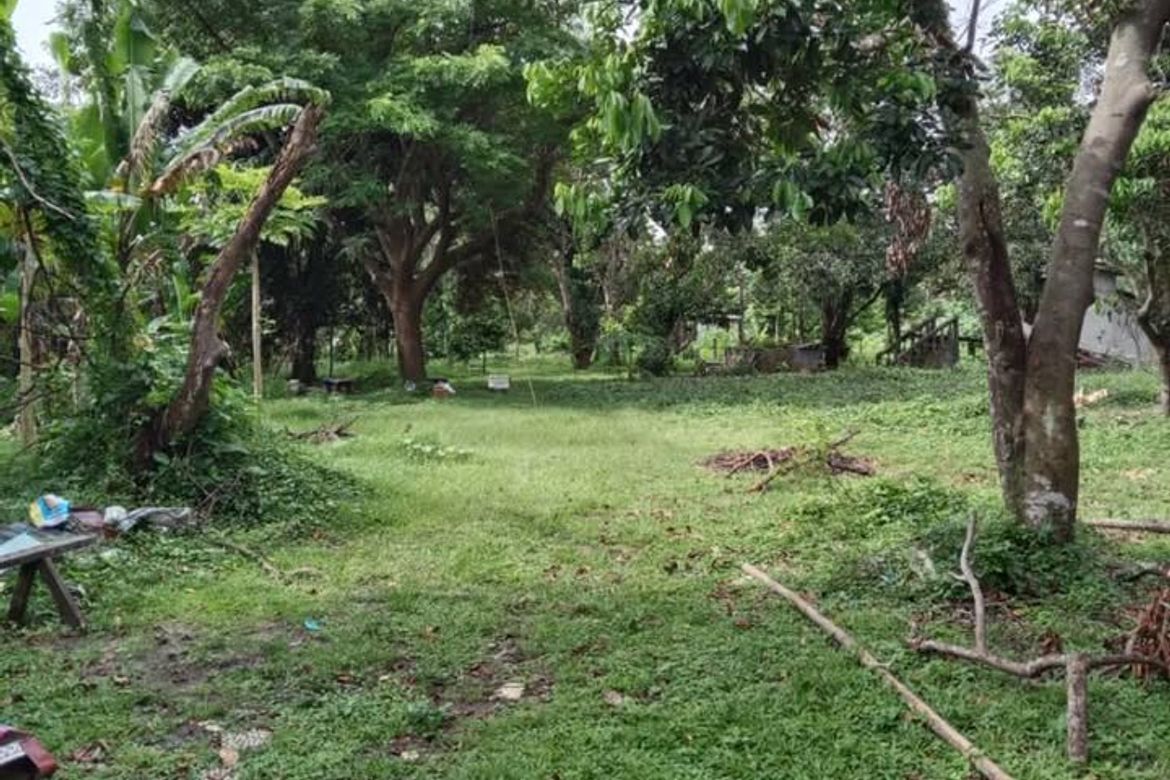 Land for Sale in Darasa, Tanauan, Batangas – photo 2