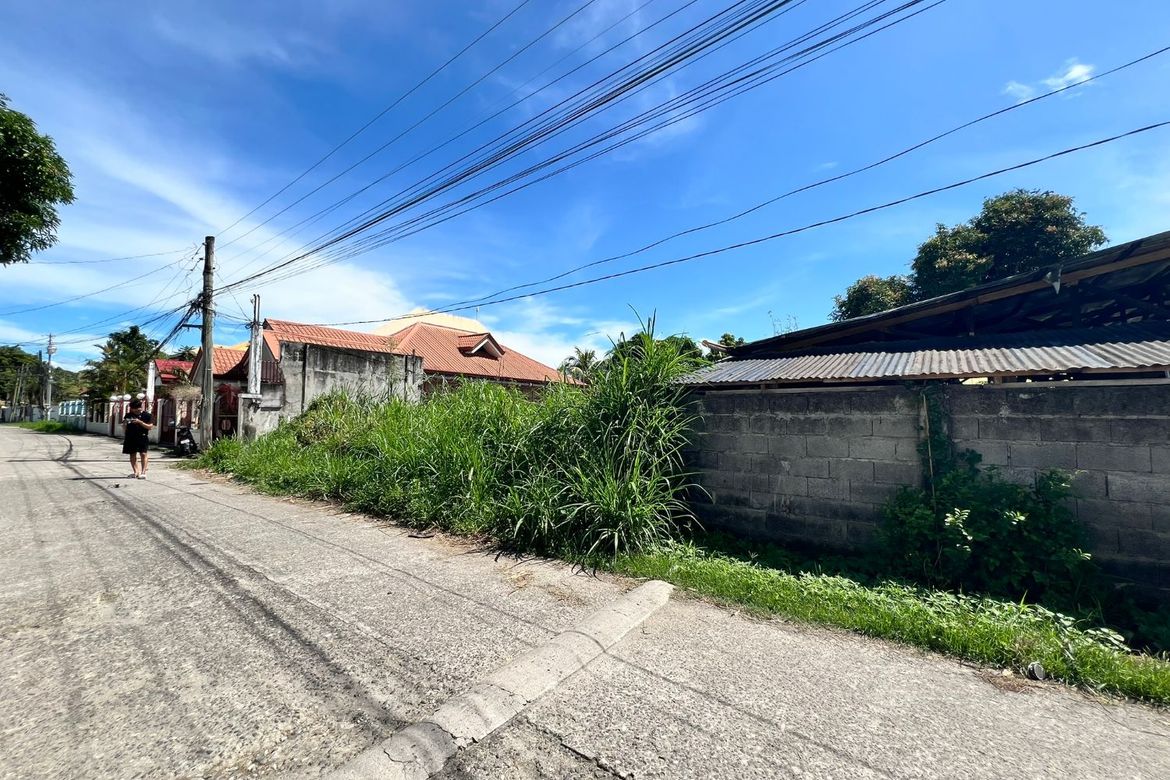 Land for Sale in Daro, Dumaguete, Negros Oriental – photo 3