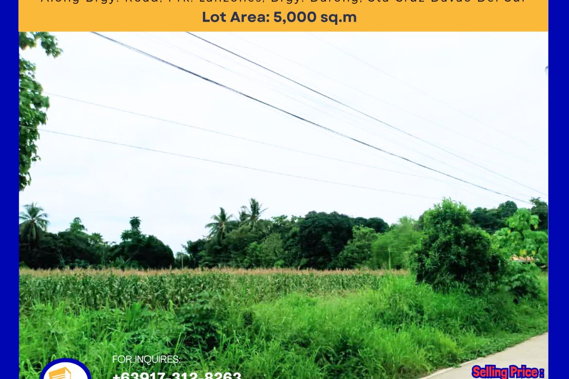 Land for Sale in Darong, Santa Cruz, Davao del Sur