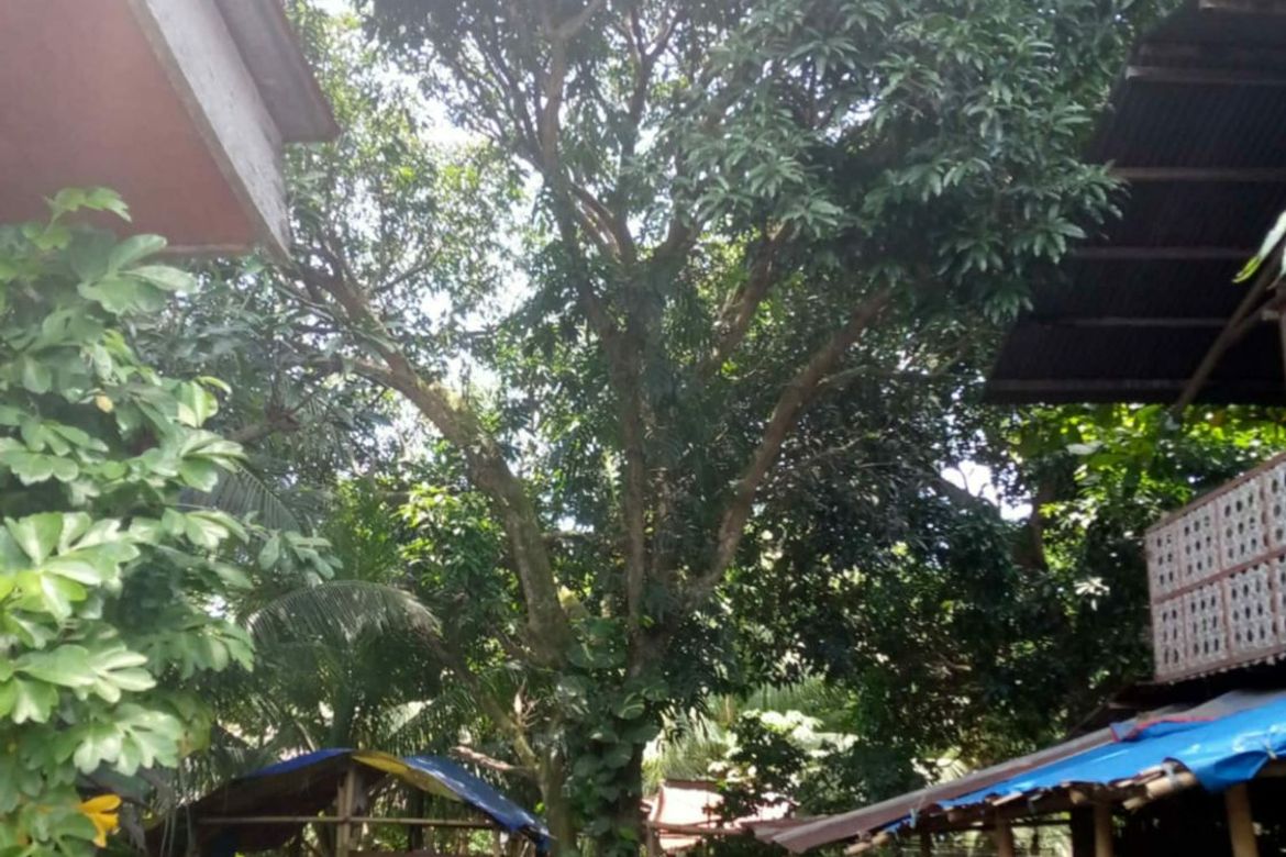 Land for Sale in Darong, Santa Cruz, Davao del Sur