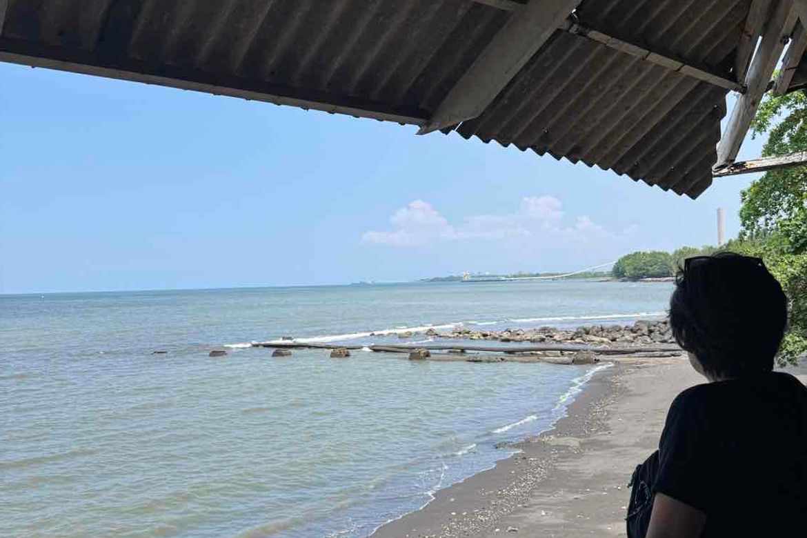 Land for Sale in Darong, Santa Cruz, Davao del Sur – photo 4