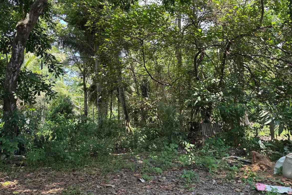 Land for Sale in Darong, Santa Cruz, Davao del Sur – photo 5