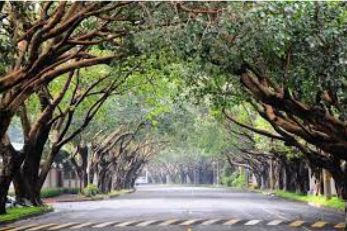 Land for Sale in Dasmariñas North, Makati, Metro Manila near MRT-3 Ayala – photo 2