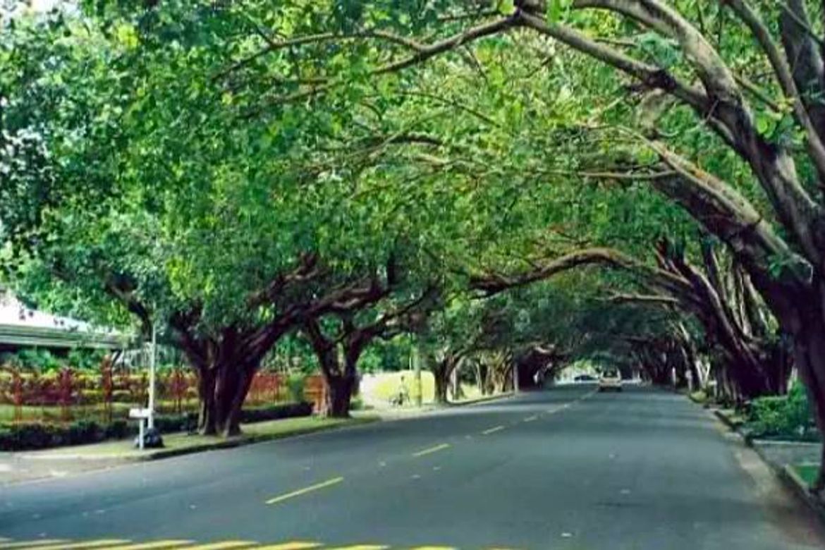 Land for Sale in Dasmariñas Village, Dasmariñas North, Makati, Metro Manila near MRT-3 Magallanes – photo 6