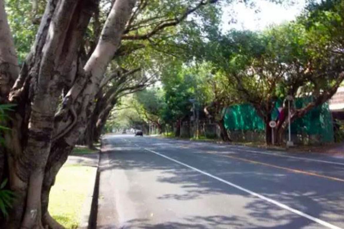 Land for Sale in Dasmariñas Village, Dasmariñas North, Makati, Metro Manila near MRT-3 Magallanes – photo 5
