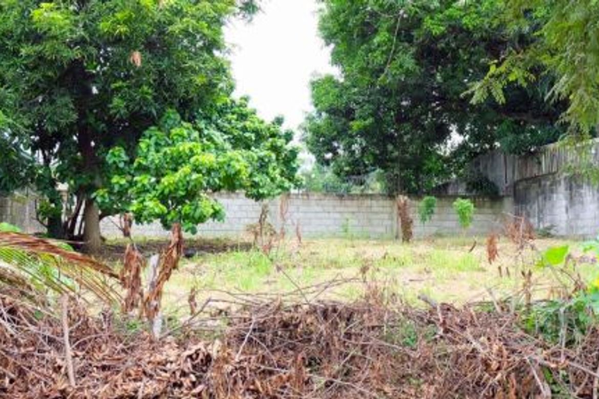 Land for Sale in Dasmariñas Village, Dasmariñas North, Makati, Metro Manila near MRT-3 Magallanes – photo 3
