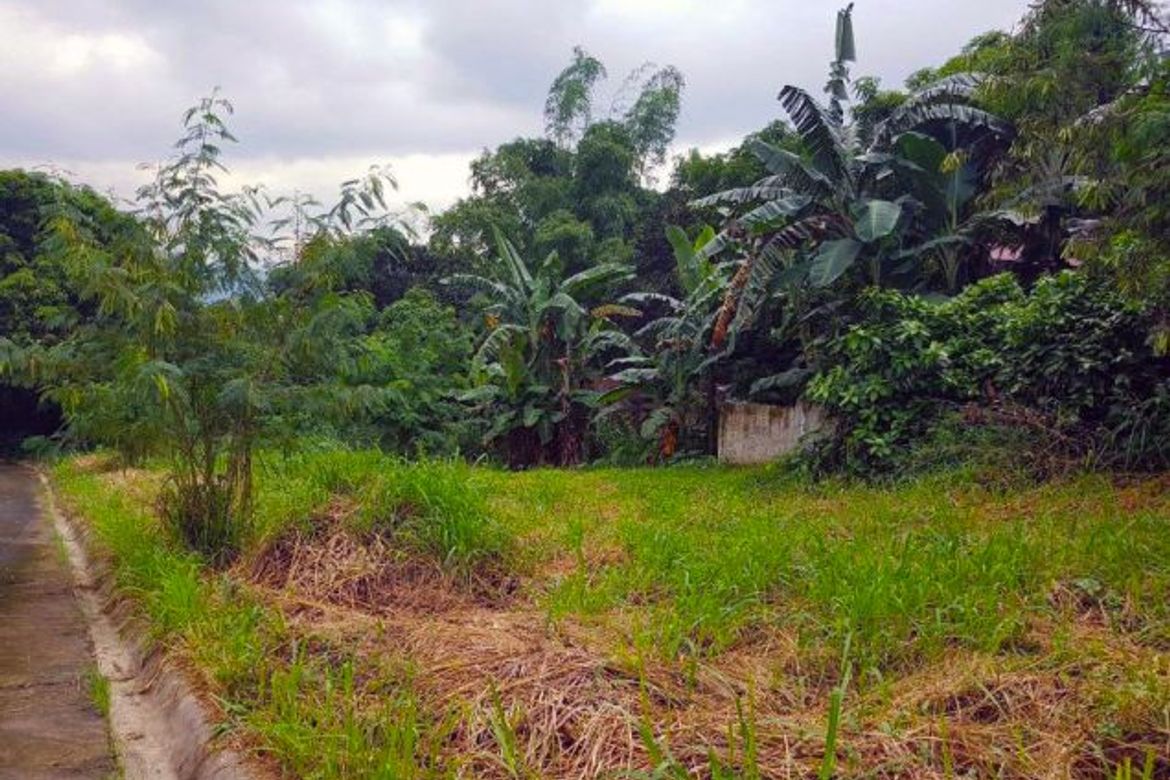 Land for Sale in Dasmariñas Village, Dasmariñas North, Makati, Metro Manila near MRT-3 Magallanes – photo 5