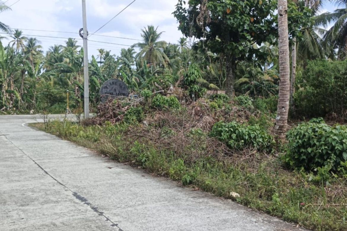 Land for Sale in Datu, Pilar, Surigao del Norte – photo 2