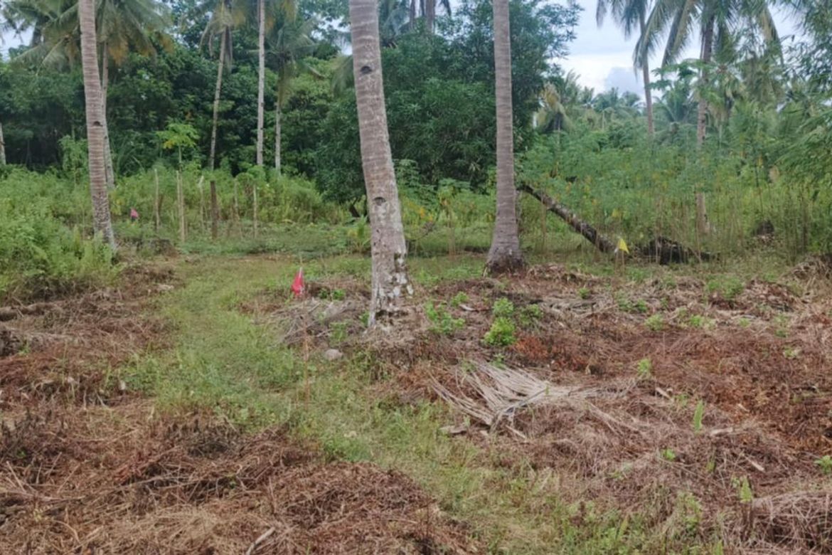 Land for Sale in Datu, Pilar, Surigao del Norte – photo 7