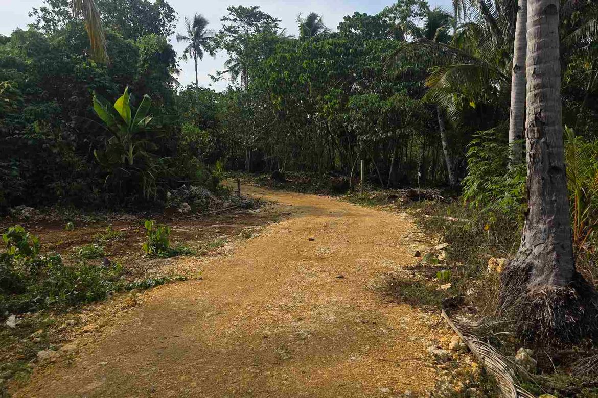 Land for Sale in Datu, Pilar, Surigao del Norte – photo 2