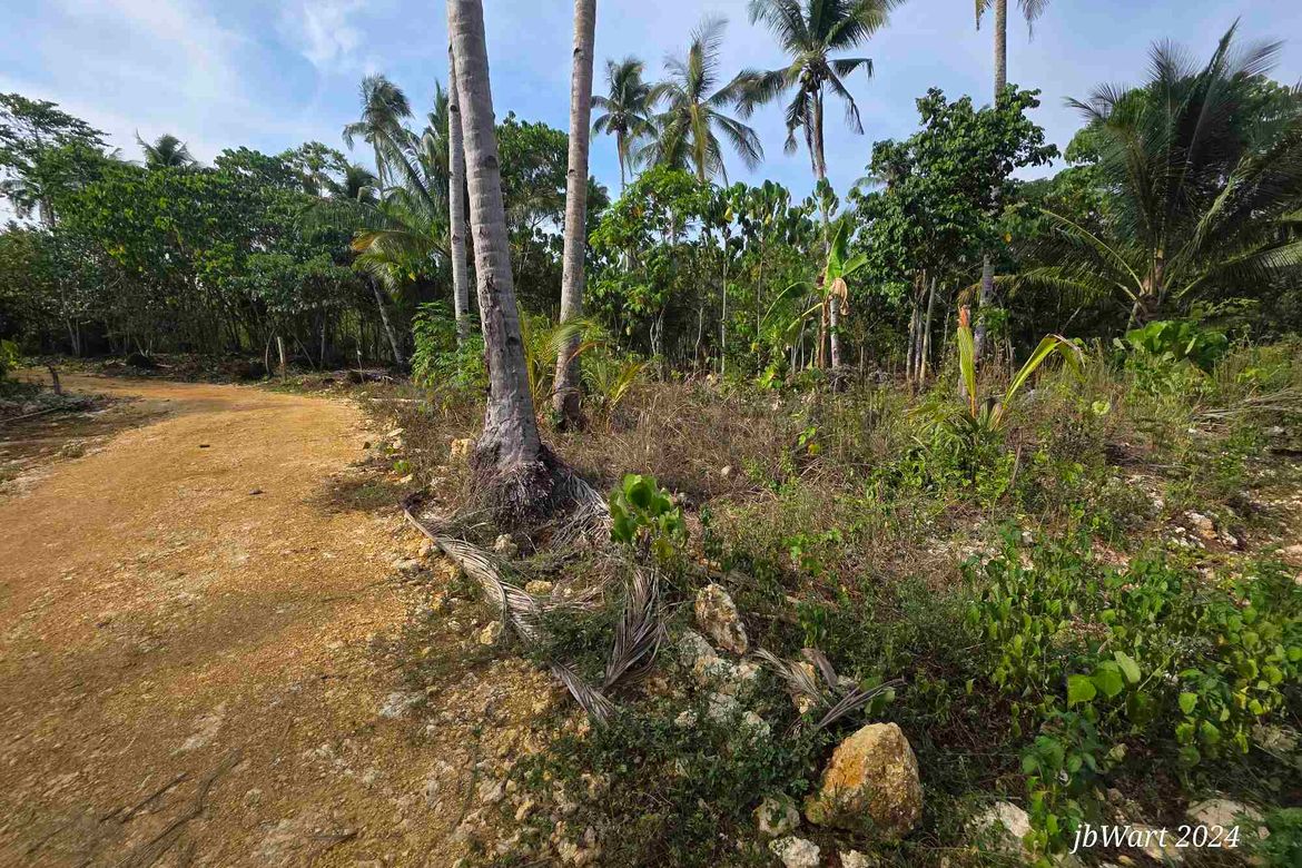 Land for Sale in Datu, Pilar, Surigao del Norte – photo 3