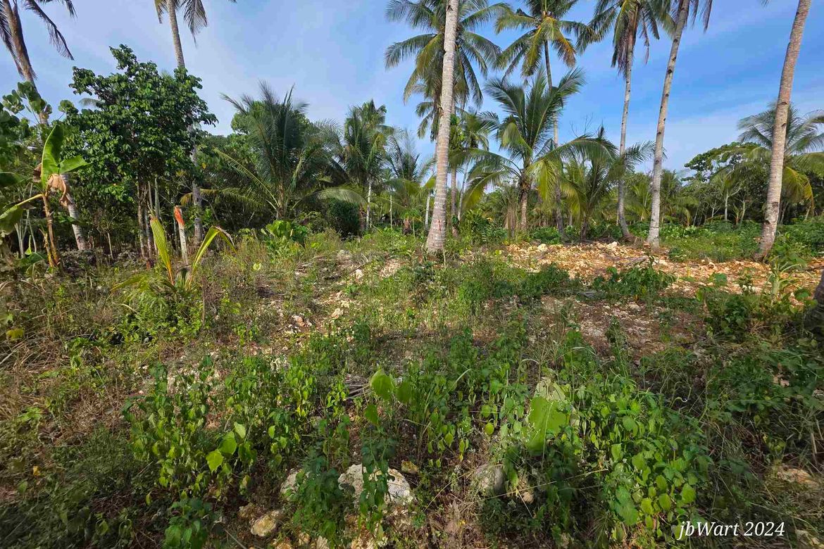 Land for Sale in Datu, Pilar, Surigao del Norte – photo 5
