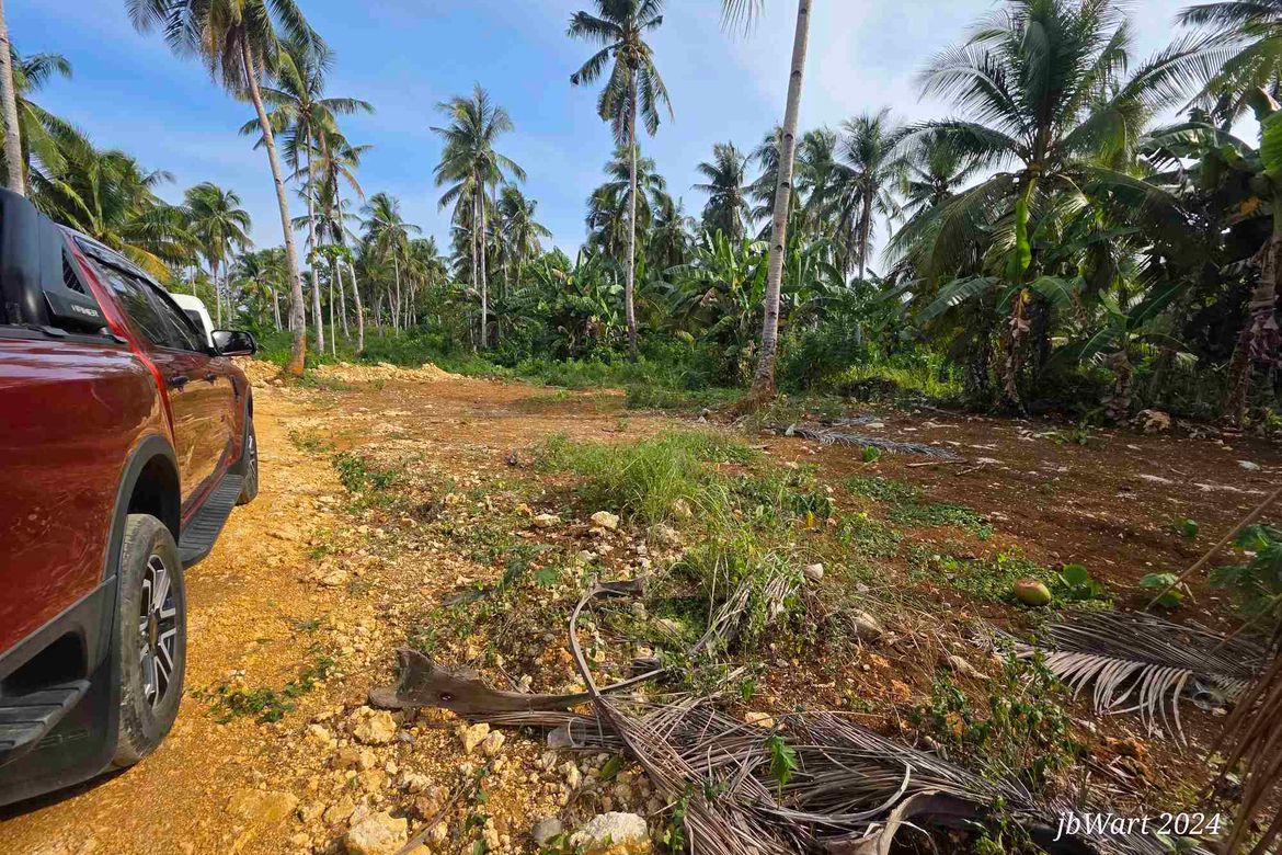 Land for Sale in Datu, Pilar, Surigao del Norte – photo 6