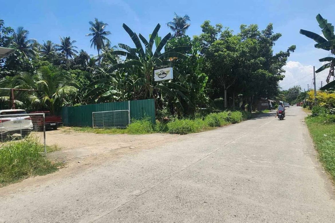 Land for Sale in Dawis, Digos, Davao del Sur – photo 6