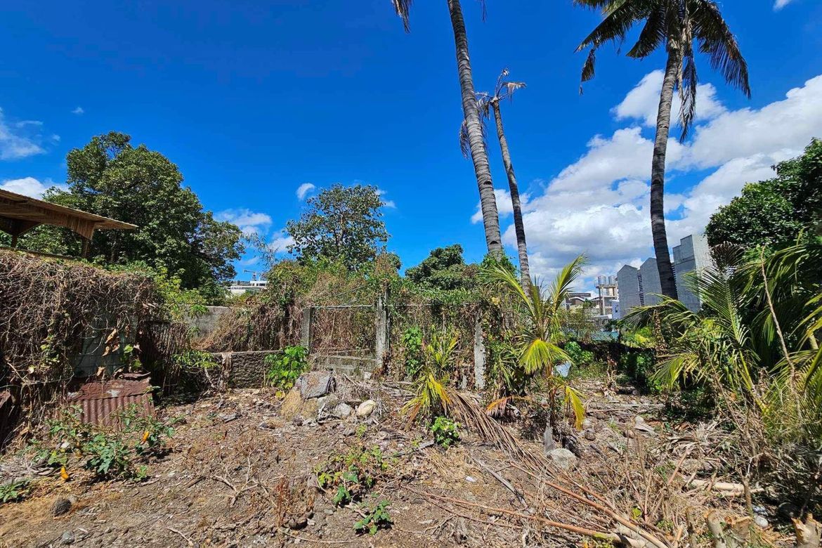 Land for Sale in Day-As, Cebu City, Cebu – photo 4