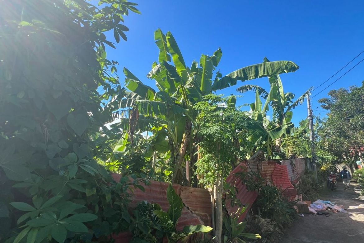 Land for Sale in Day-As, Cordoba, Cebu – photo 4
