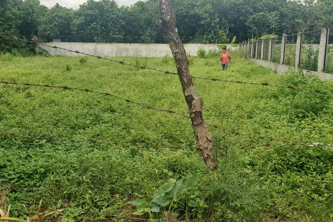 Land for Sale in Dayap, Calauan, Laguna – photo 4