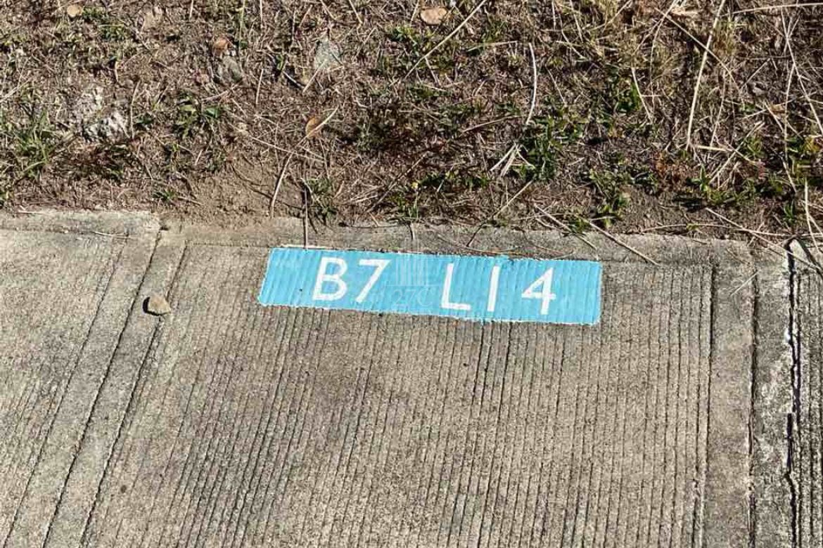 Land for Sale in Dayap Itaas, Laurel, Batangas – photo 4