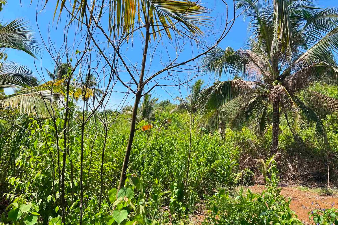 Land for Sale in Del Carmen, San Isidro, Surigao del Norte – photo 5