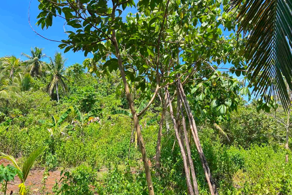 Land for Sale in Del Carmen, San Isidro, Surigao del Norte – photo 6